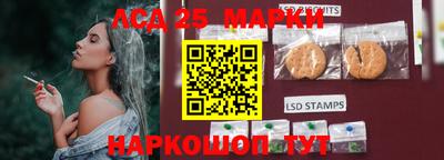 амф Кандалакша