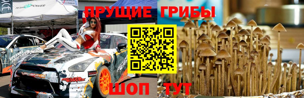 Галлюциногенные грибы ЛСД  Псилоцибиновые грибы MAGIC MUSHROOMS  купить  цена  Людиново  Вход с VPN 
